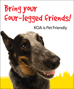 Pet Friendly Camping